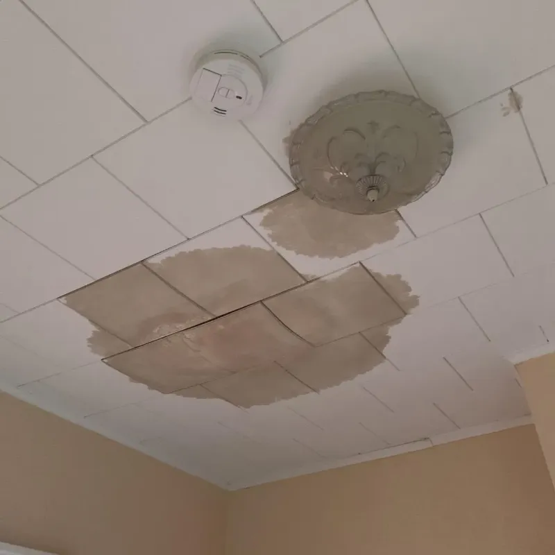 Ceiling Water Damage Repair in Terrytown, NE