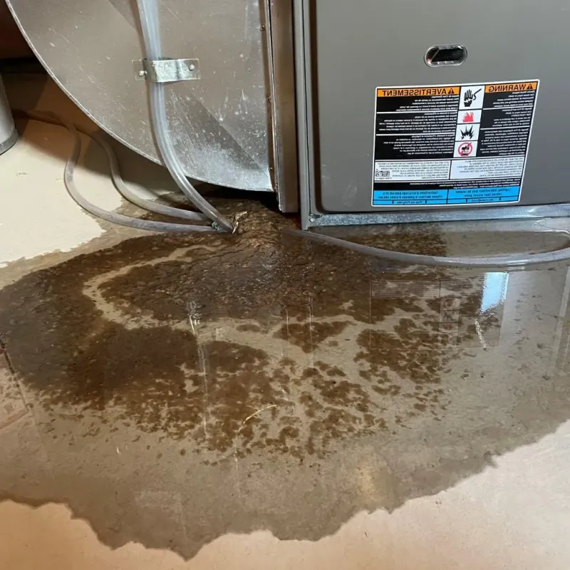 Pipe Burst and Leak Restoration in Terrytown, NE