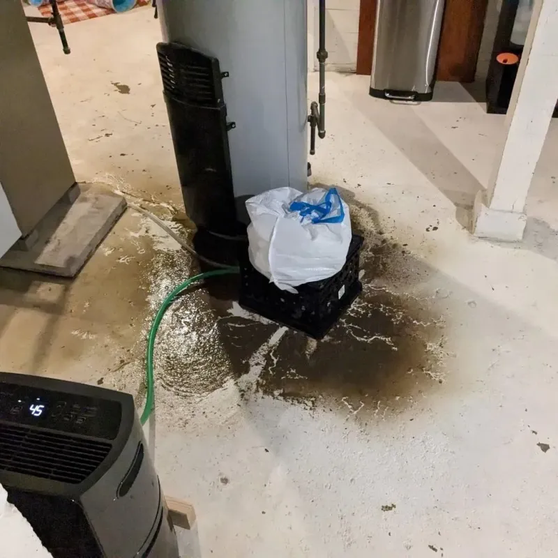 Sewage Backup Cleanup Service in Terrytown, NE